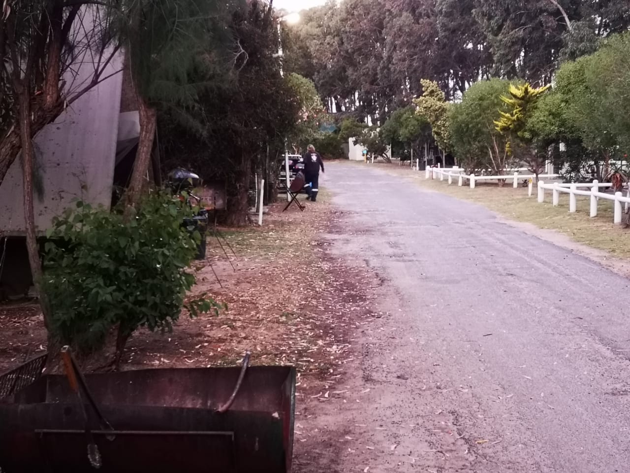 IMG-20211117-WA0013